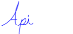 Api sig