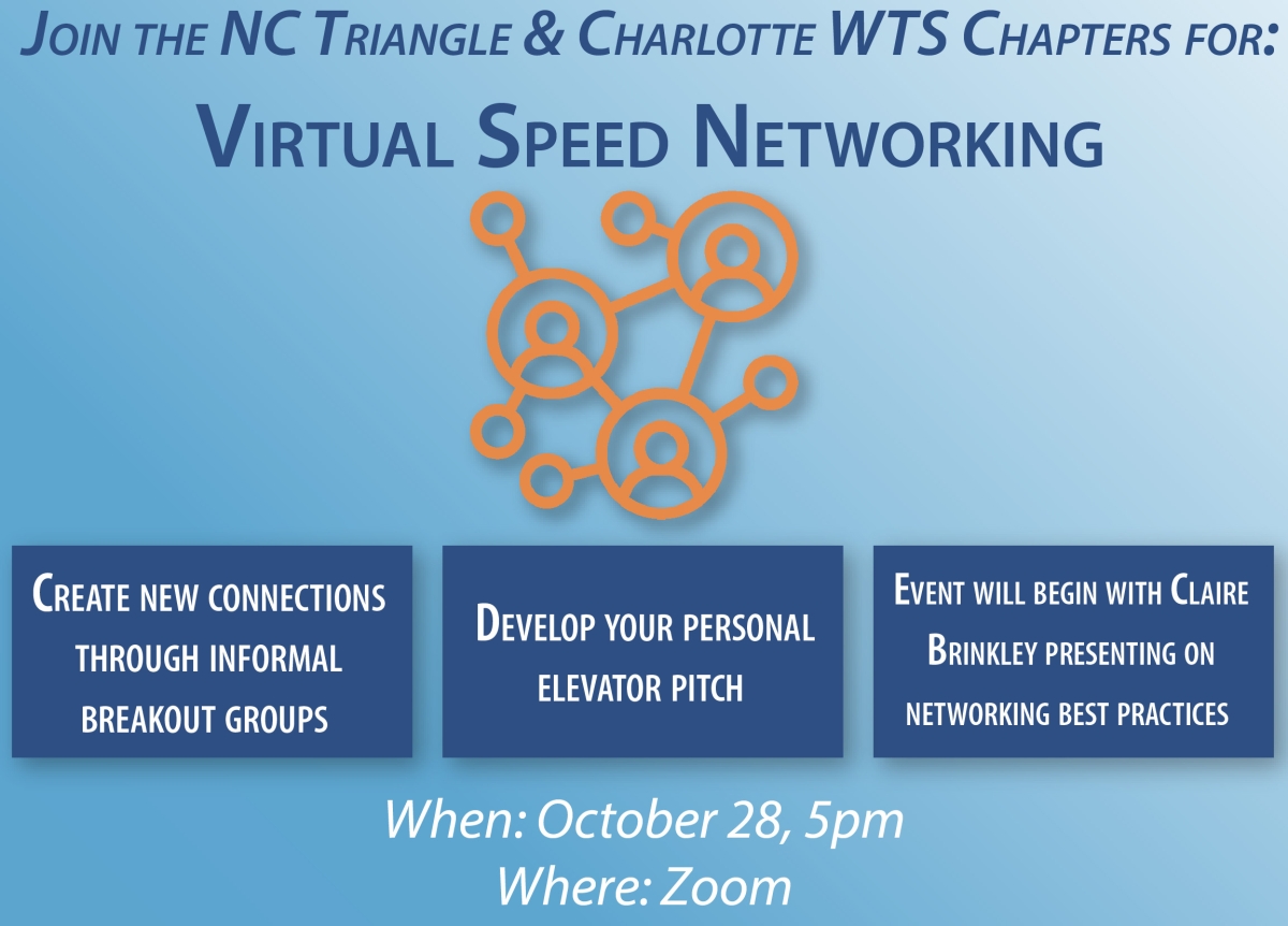 NC Triangle virtual speed networking