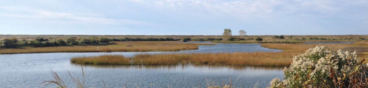 Poplar Island Overview Image