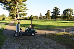 Boston_Events_Golf Cart_x250