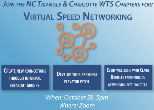 NC Triangle virtual speed networking