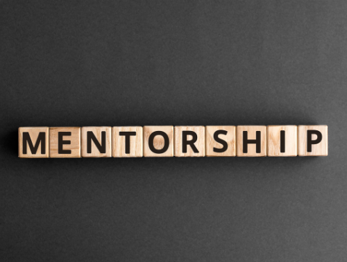 Mentorship Blocks