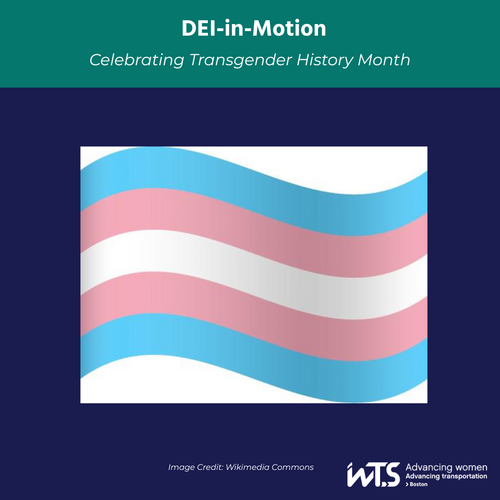 Image of the Transgender Pride flag with five horizontal stripes—light blue, pink, white, pink, and light blue.