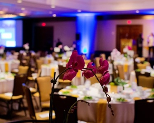 Annual Awards Dinner - Gallery 1