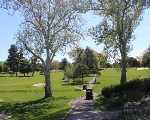 Ladies Golf