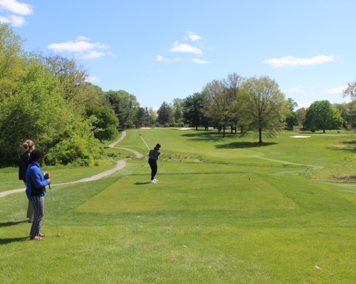 Ladies Golf