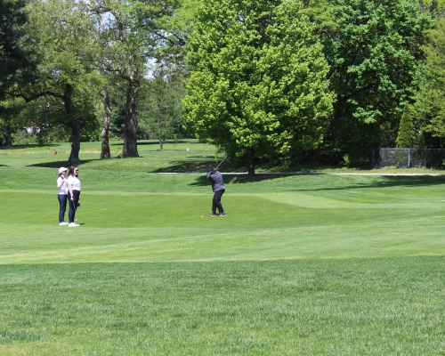 Ladies Golf