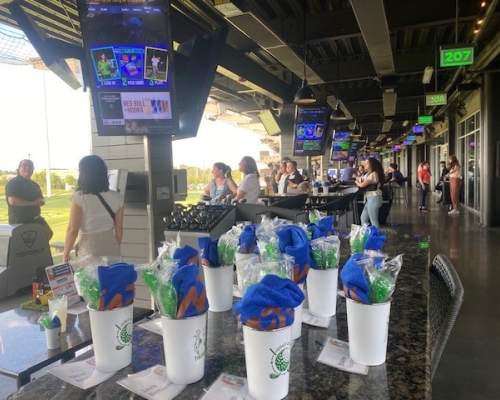 Top Golf 9