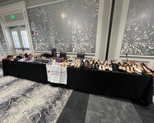 12th Annual A Walk in Her Shoes 