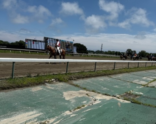 Gallops and Gathering