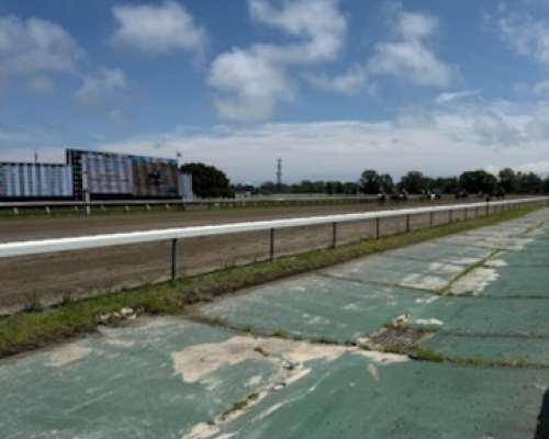 Gallops and Gathering