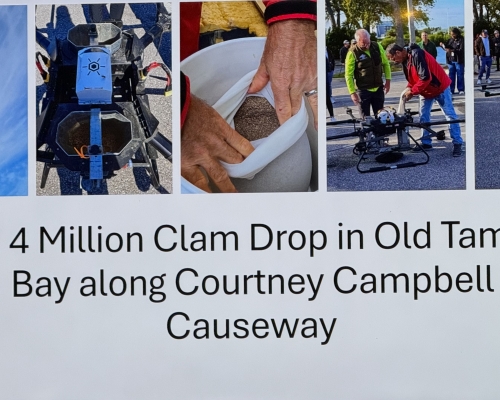 FDOT Environmental Management Presents 