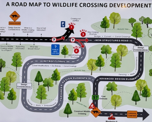 FDOT Environmental Management Presents 