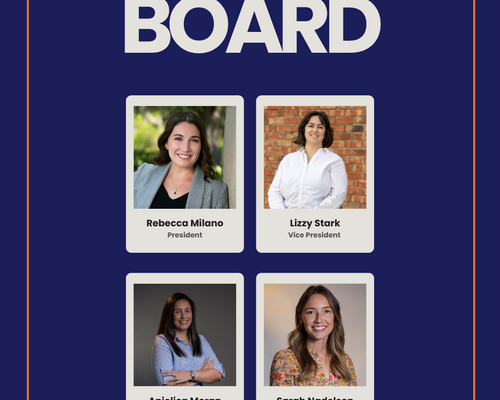 Meet the Board 