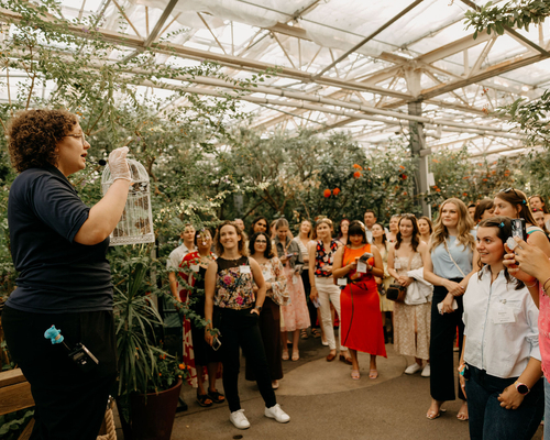 People gathered ahead of the butterflies being released. Photos by Brooke Silverman