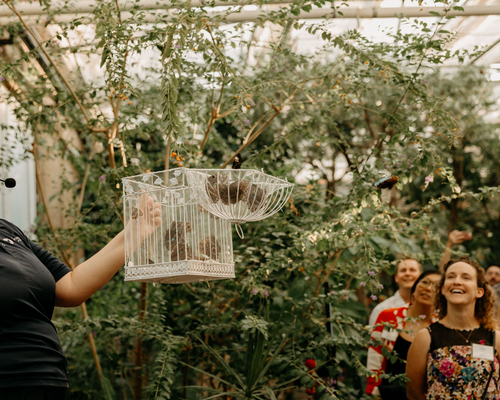 Butterflies being released. Photos by Brooke Silverman
