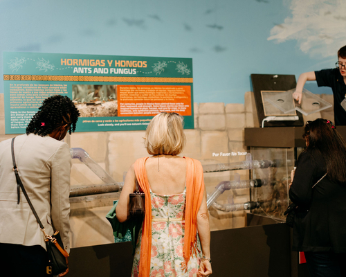 A group of people looking at an exhibit. Photos by Brooke Silverman